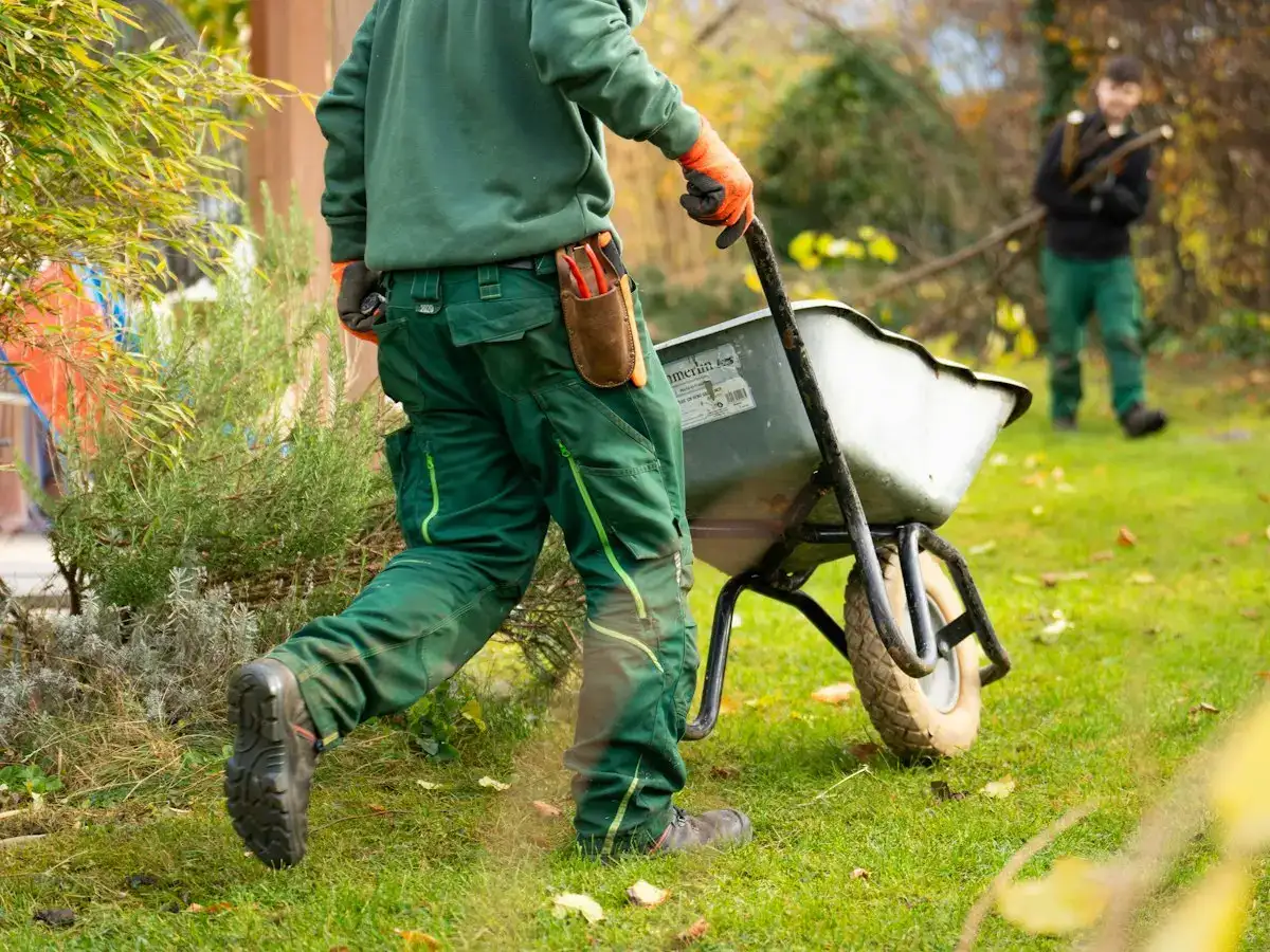 Crew member pushing a wheelbarrow through a garden