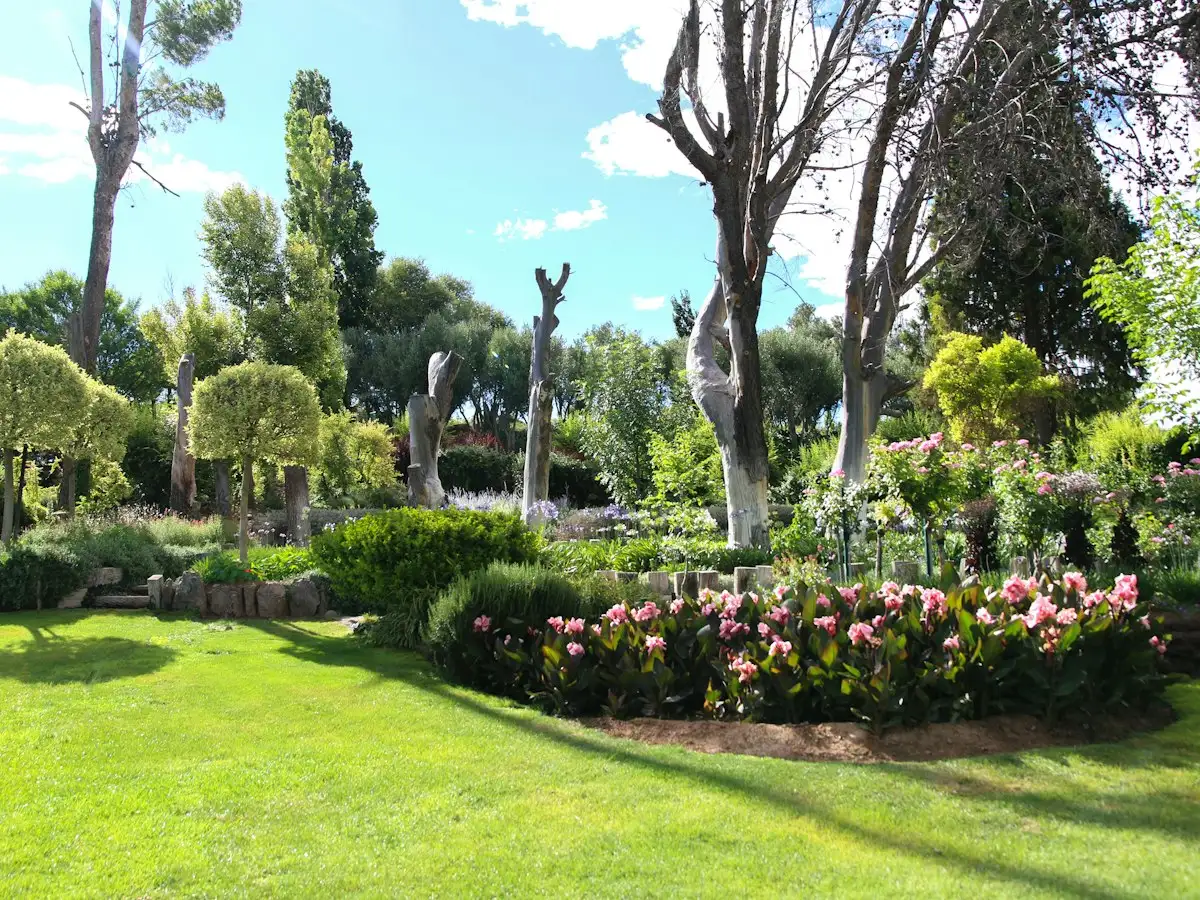 Mature garden with sculpted trees and flower beds